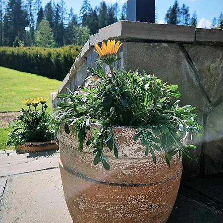 Pod Gorska Lawenda 3* Jurgów