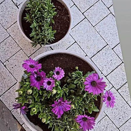 Bed & Breakfast Pod Gorska Lawenda